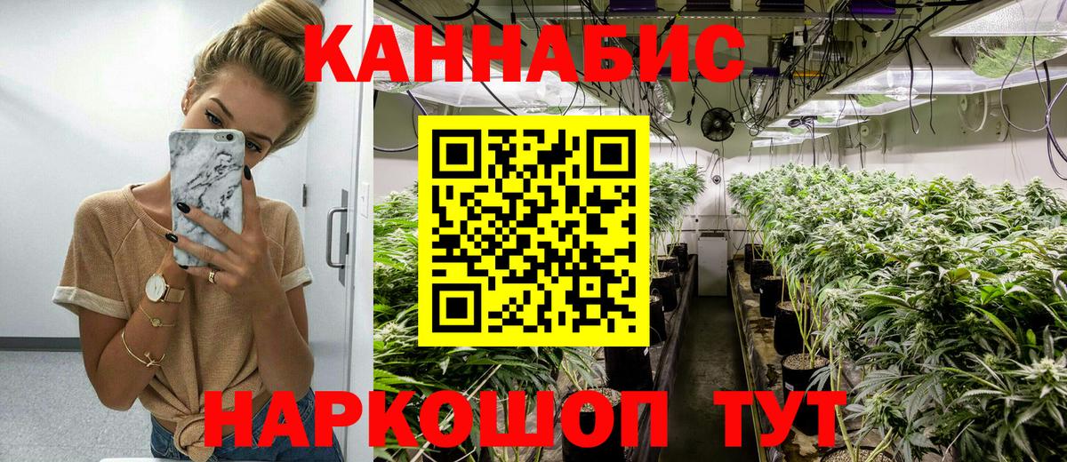 Каннабис конопля Барабинск